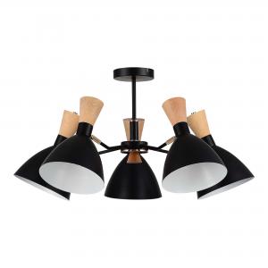 Светильник Evoluce VISTA SLE1256-402-05