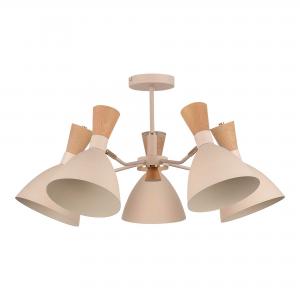 Светильник Evoluce VISTA SLE1256-502-05