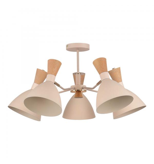 Светильник Evoluce VISTA SLE1256-502-05