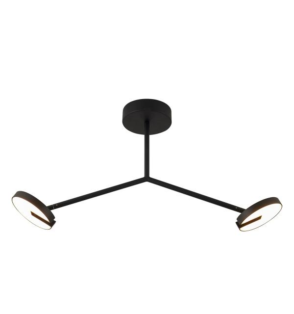 Светильник Favourite Paritet 4401-2C