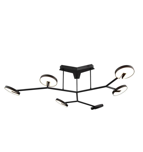 Светильник Favourite Paritet 4401-6C