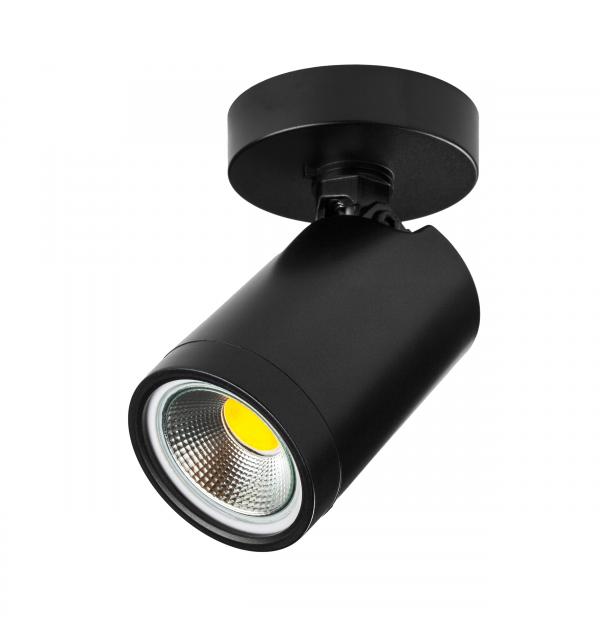 Светильник Lightstar Rullo 213407
