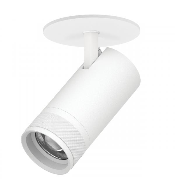 Светильник Lightstar Canno Pro C4306RS