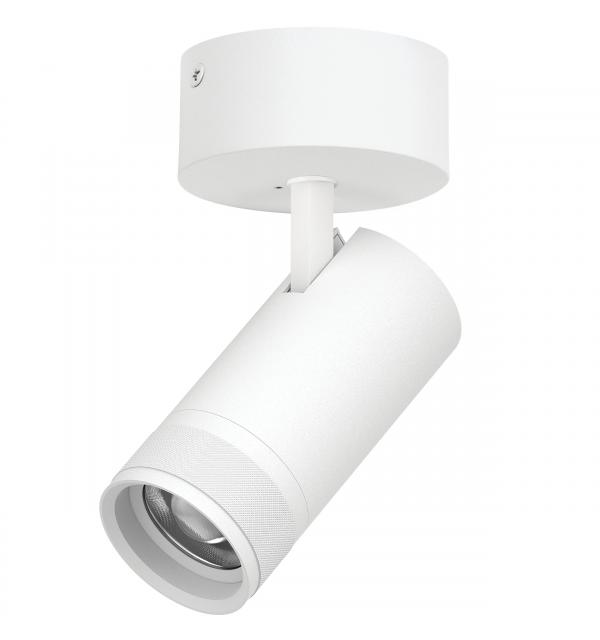 Светильник Lightstar Canno Pro C4306SO