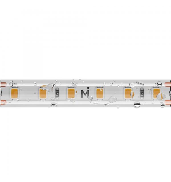 Светодиодная лента Maytoni Led Strip 201213
