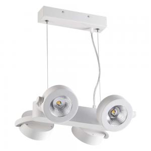 Светильник Odeon Light PUMAVI 3493/40L