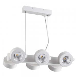 Светильник Odeon Light PUMAVI 3493/60L
