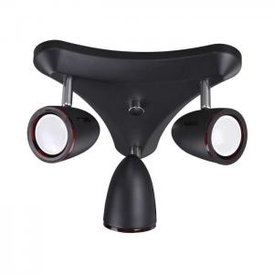 Светильник Odeon Light IMAGIO 3824/3C