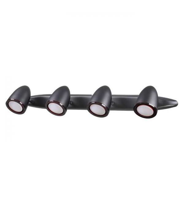 Светильник Odeon Light IMAGIO 3824/4W