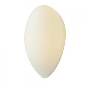 Светильник ST Luce BAGNO SL507.551.01