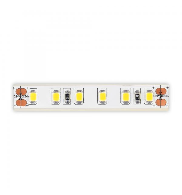 Светодиодная лента STLuce ST1001.310.65.2