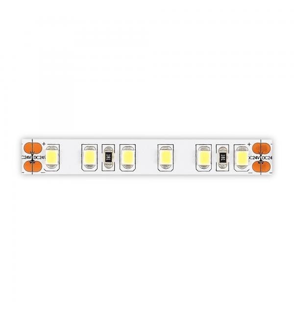 Светодиодная лента STLuce ST1001.410.20.2