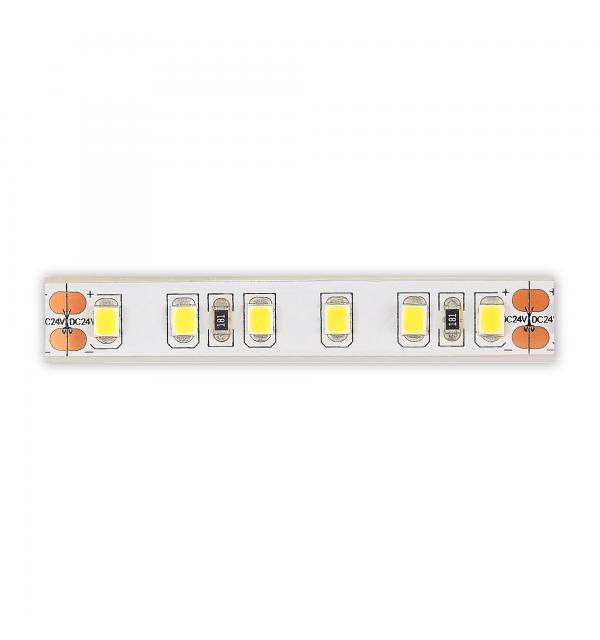 Светодиодная лента STLuce ST1001.410.65.2